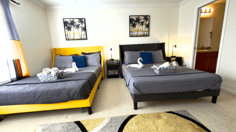 Tampa House: 4931 Elizabeth Anne Cir