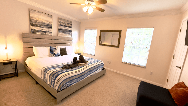 Tampa House: 4931 Elizabeth Anne Cir