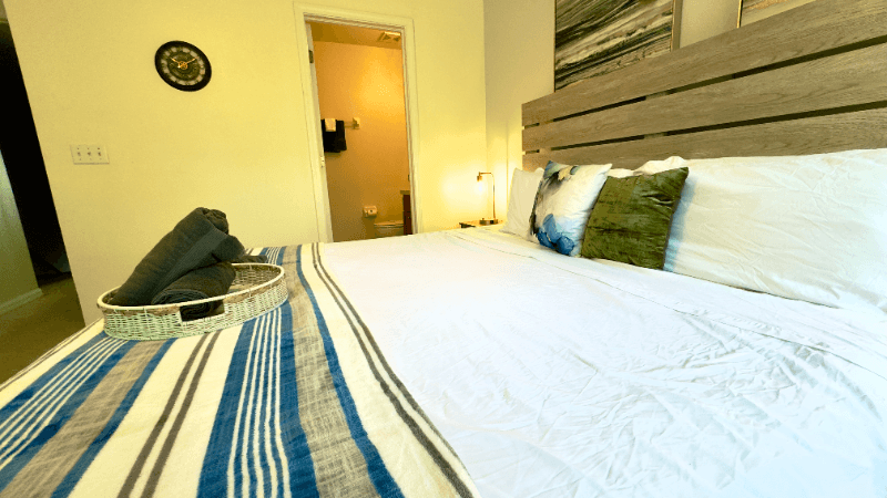 Tampa House: 4931 Elizabeth Anne Cir