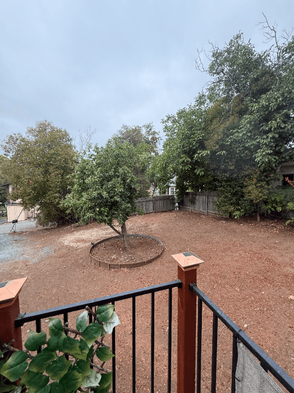 Auburn Townhome: 172 Orange St