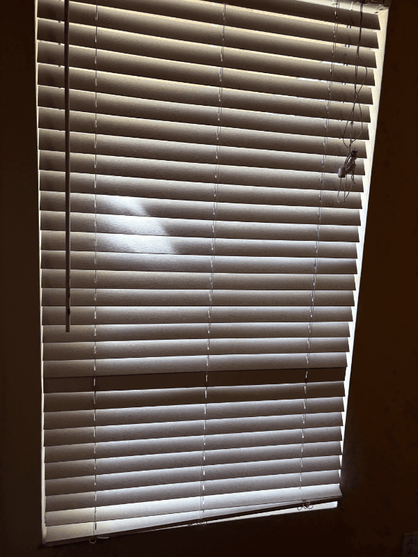 Winchester Single Room: 35887 Lourdes Drive