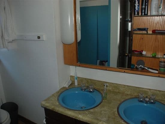 Ann Arbor House: 502 Elm St