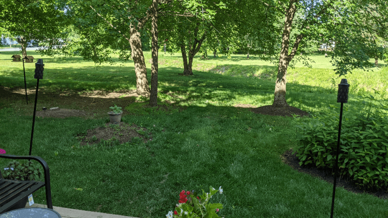 Leesburg Condo: 1002 Foxhunt Ter NE