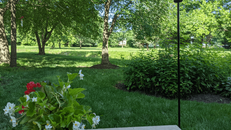 Leesburg Condo: 1002 Foxhunt Ter NE