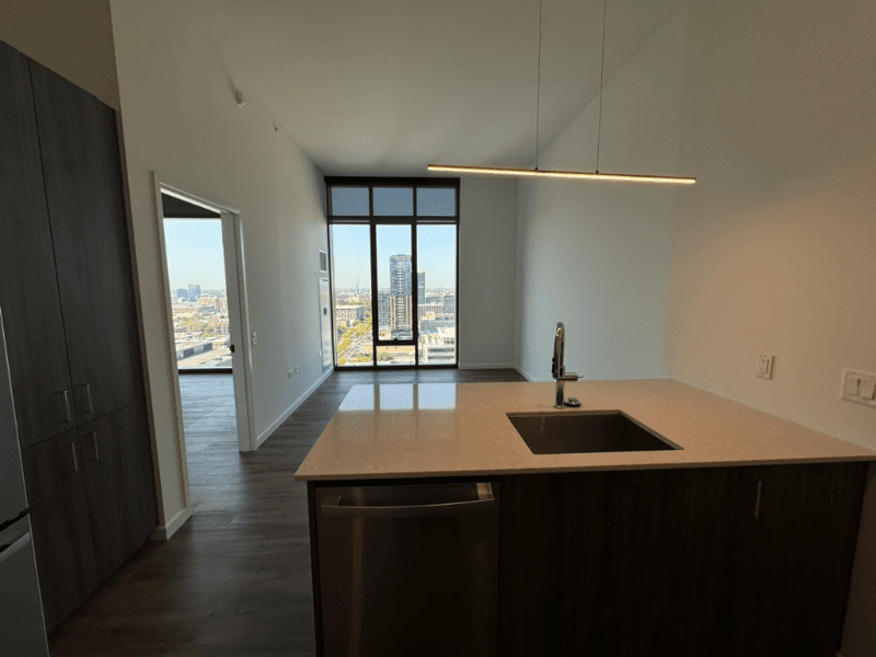 Chicago Condo: 144 N Aberdeen