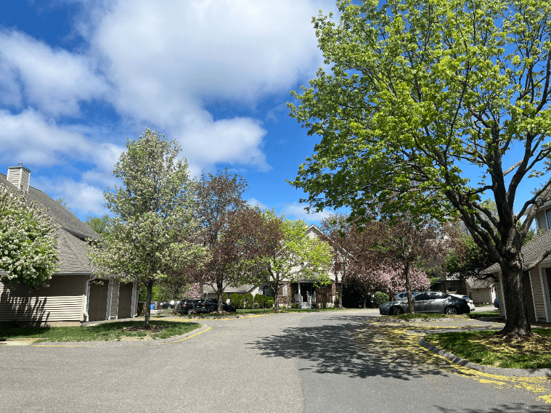 Newington Condo: 62 Fox Run Court