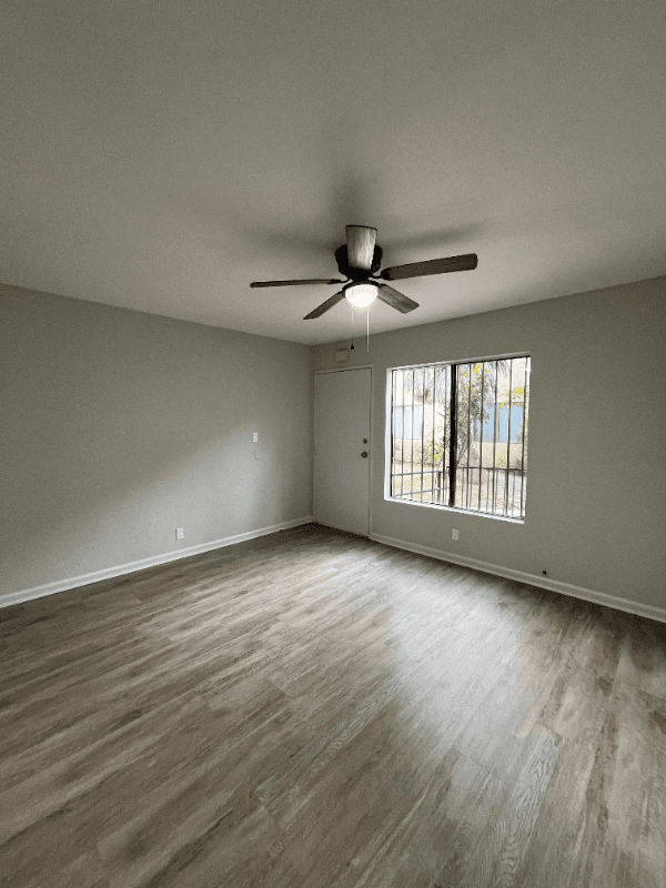 Los Angeles Apartment: 5955 s Main st