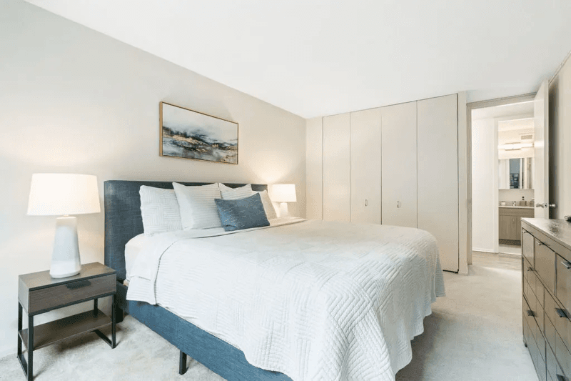 Chicago Condo: 1064 N Dearborn St