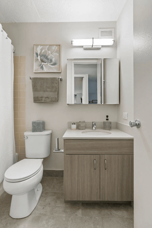 Chicago Condo: 1064 N Dearborn St