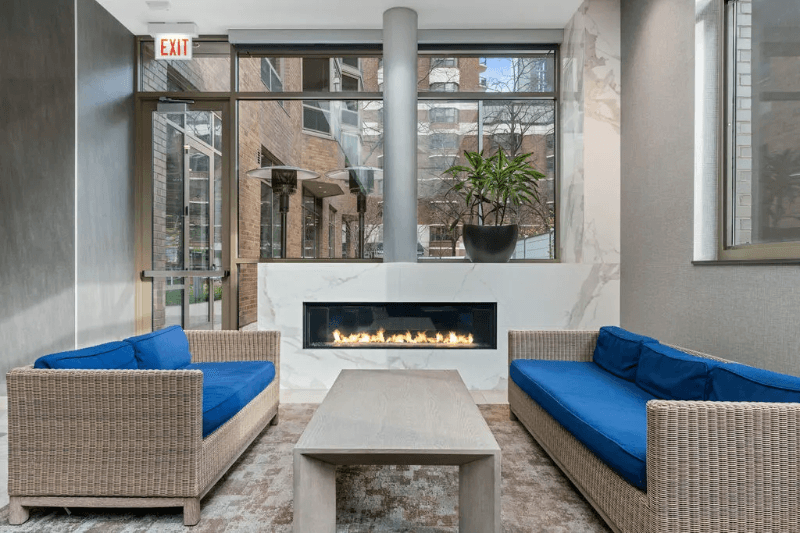 Chicago Condo: 1064 N Dearborn St