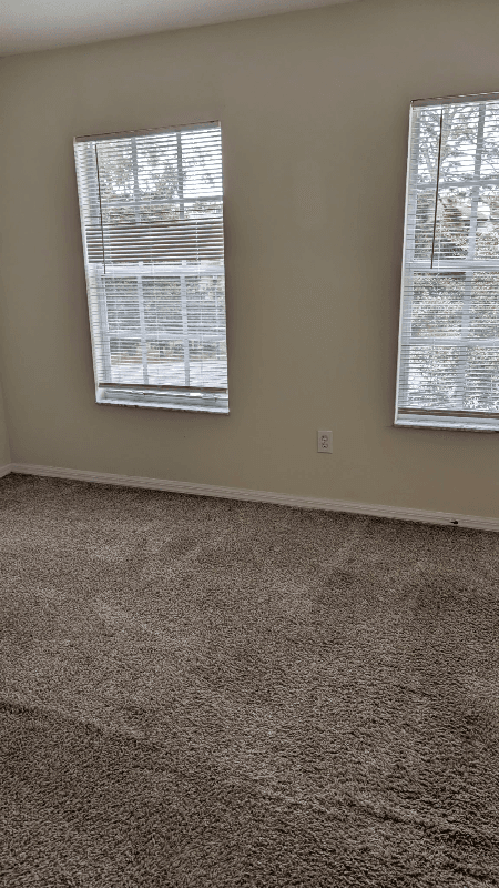 Tampa Townhome: 2039 Fiesta Ridge Ct