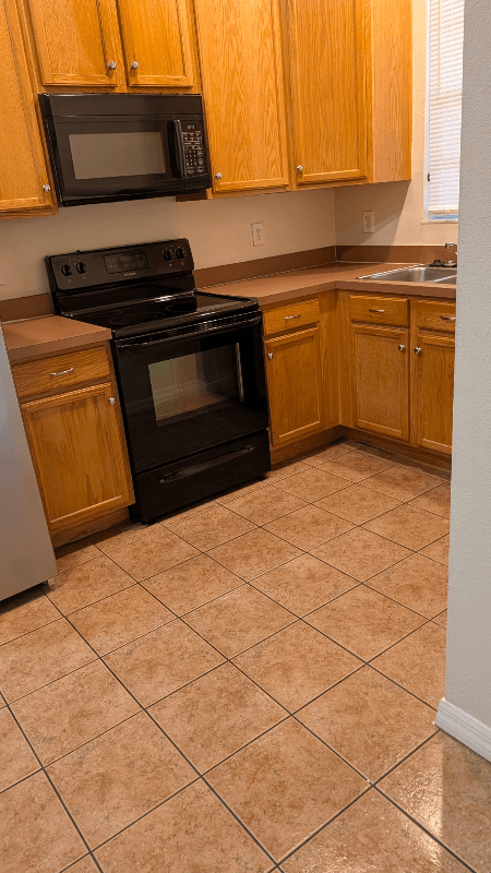 Tampa Townhome: 2039 Fiesta Ridge Ct