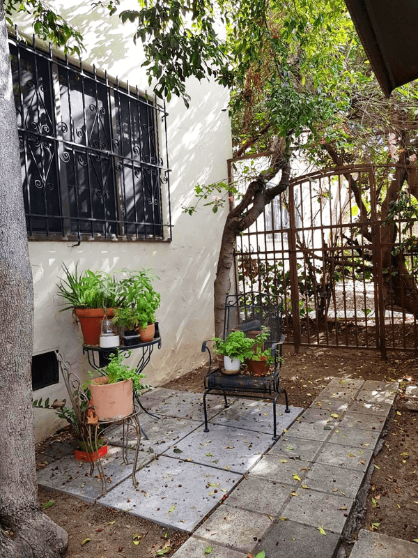 Los Angeles Apartment: 333 N Sycamore Ave