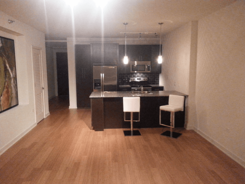 Chicago Condo: 125 s Jefferson