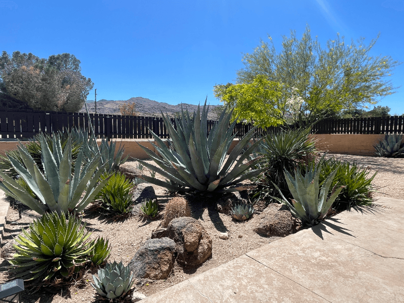 Twentynine Palms House: 71590 Juanita Dr