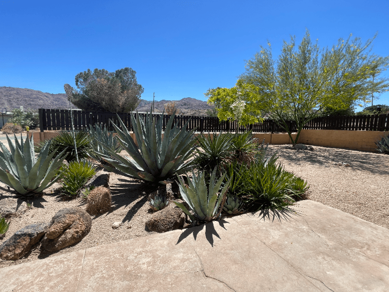 Twentynine Palms House: 71590 Juanita Dr