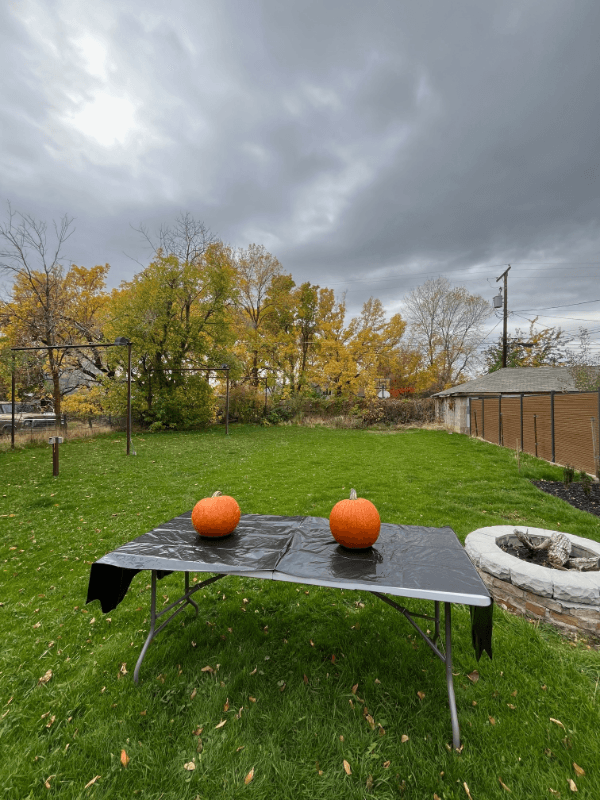 Springville House: 165 N 400 E