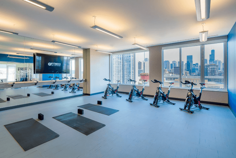 Chicago Condo: 201 W Division