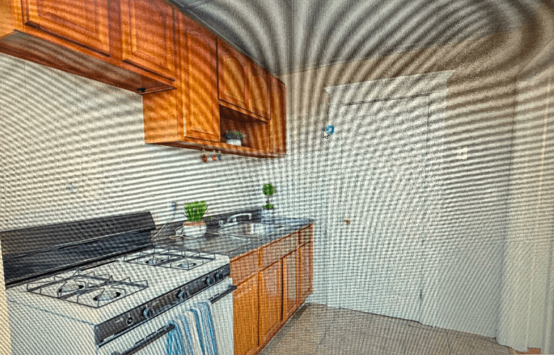 east orange Apartment: 317 william st