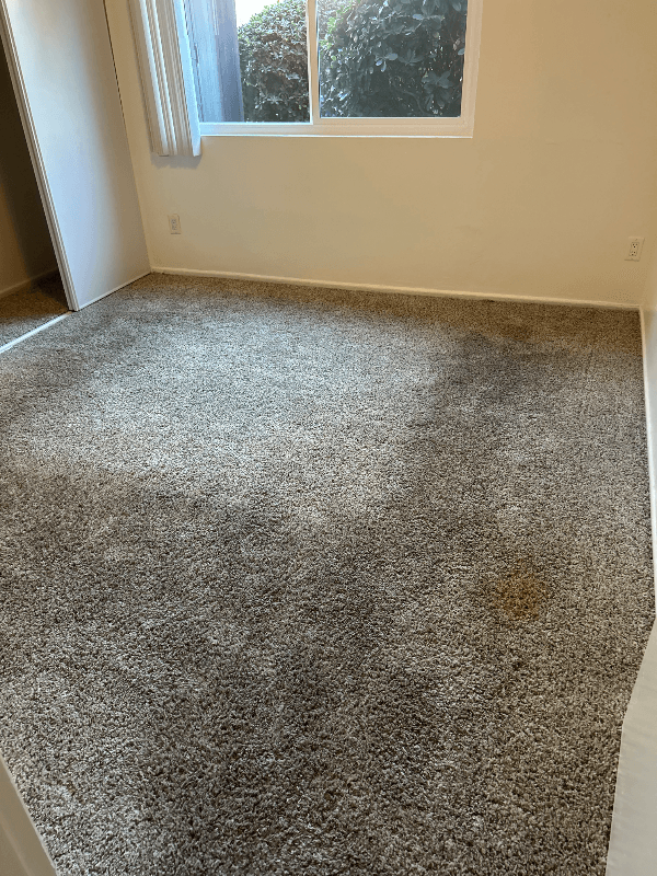 Chatsworth Apartment: 10200 De Soto Ave