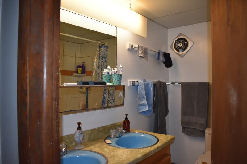 Ann Arbor House: 502 Elm St