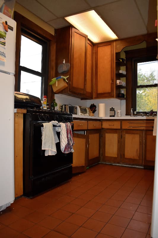 Ann Arbor House: 502 Elm St