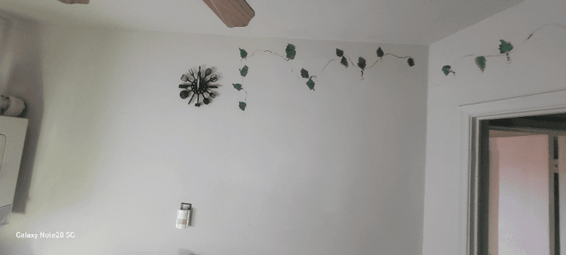 Baltimore Apartment: 0000 Linwood Ave