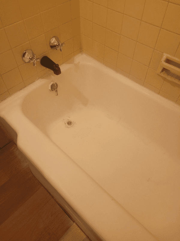 Rockford Apartment: 1005 Garfield Ave, Rockford IL