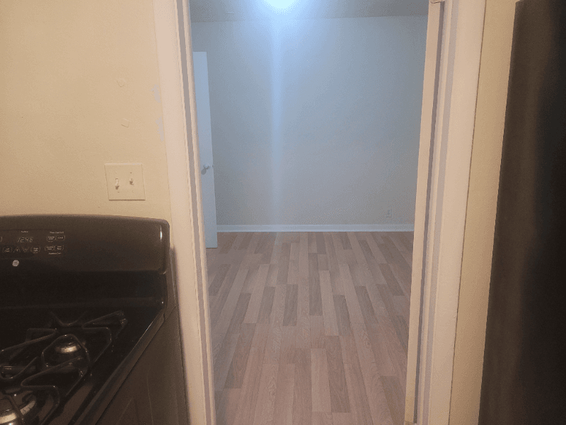 Rockford Apartment: 1005 Garfield Ave, Rockford IL