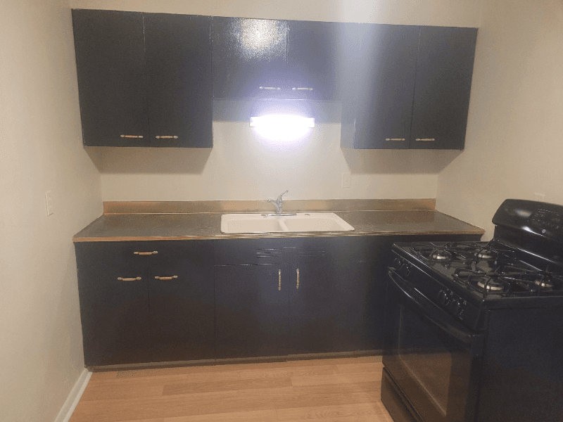 Rockford Apartment: 1005 Garfield Ave, Rockford IL