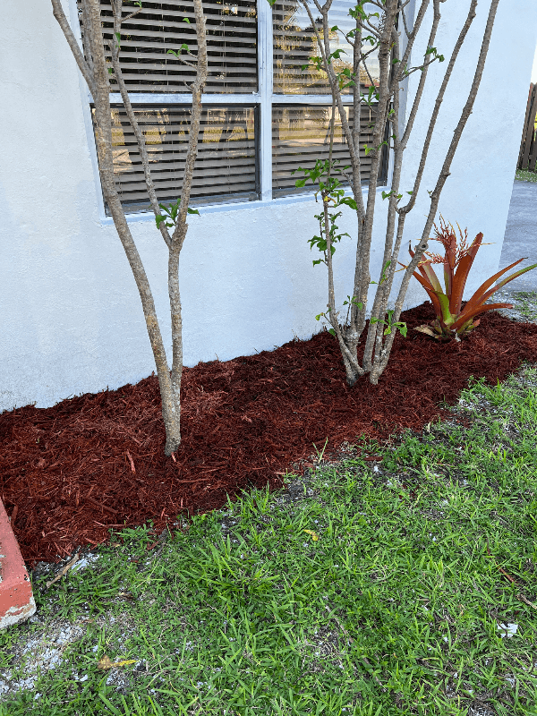 Miami Gardens House: 195 Street, NW 42 Avenue