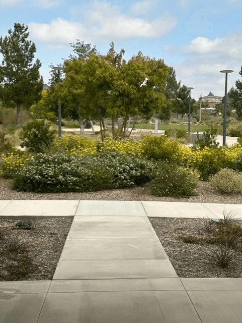 Irvine House: 139 Glance