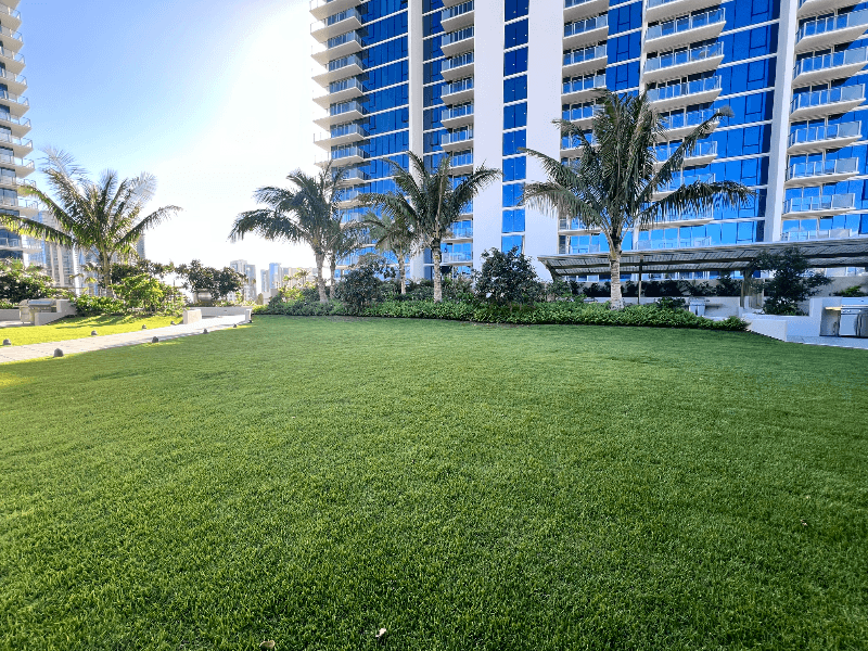Honolulu Condo: 1515 Liona Street