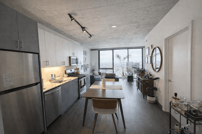 Chicago Condo: 156 N Elizabeth St