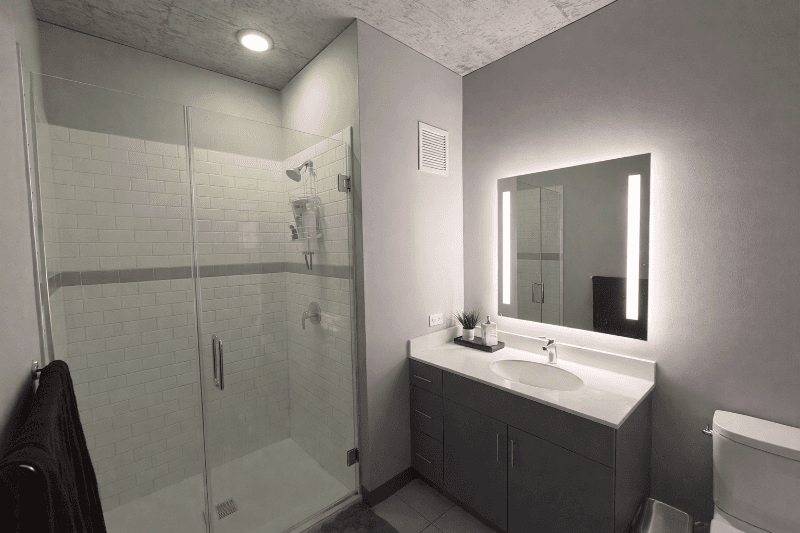 Chicago Condo: 156 N Elizabeth St