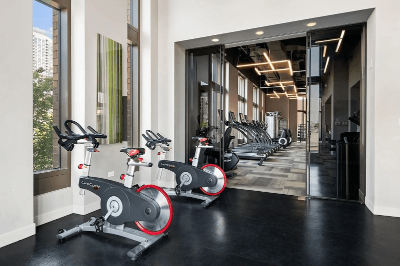 Chicago Condo: 376 N Desplaines St