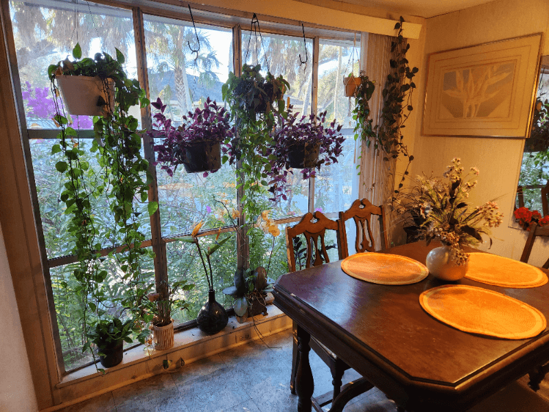 Palmetto Single Room: 420 49th Street E, Lot 164