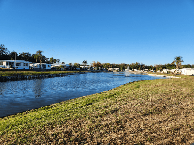 Palmetto Single Room: 420 49th Street E, Lot 164