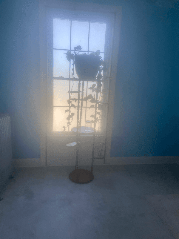 Carthage Single Room: 25 Bridge St,