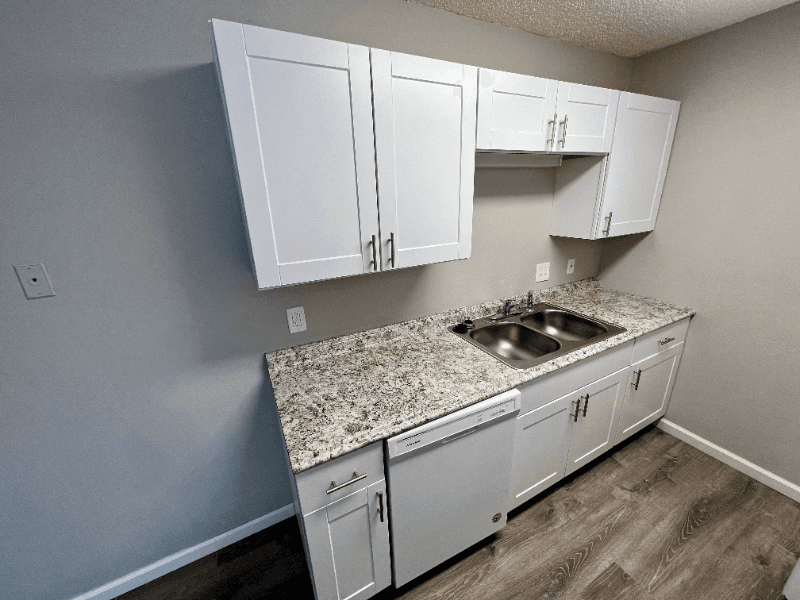 Brighton Apartment: 221 Jessup Street