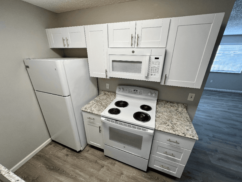 Brighton Apartment: 221 Jessup Street