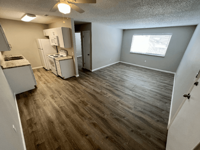 Brighton Apartment: 221 Jessup Street