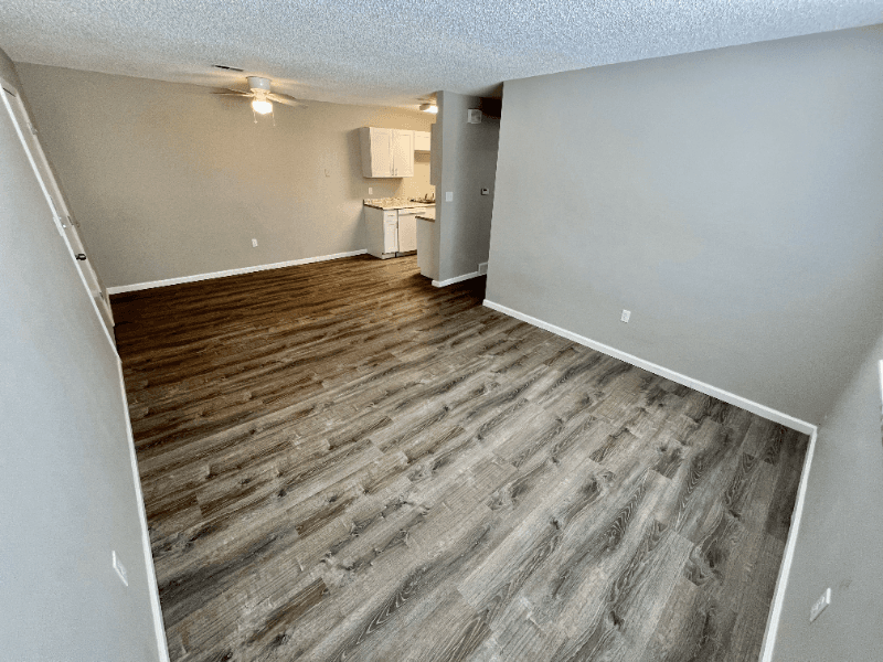 Brighton Apartment: 221 Jessup Street