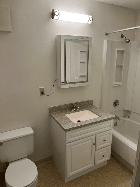 Wellesley Hills Apartment: 4 Cedar St