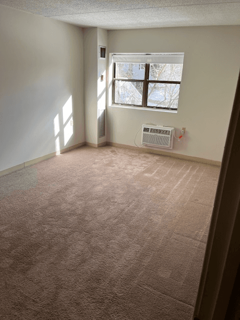 Wellesley Hills Apartment: 4 Cedar St