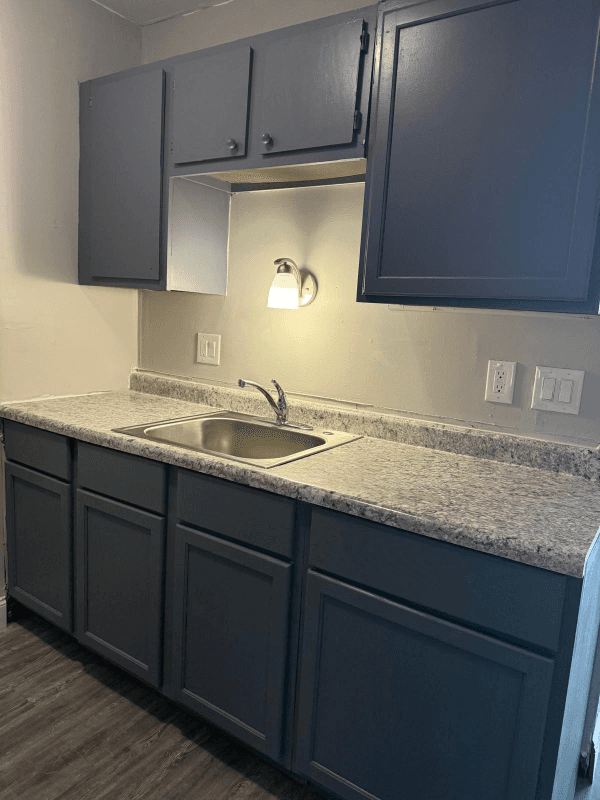 Detroit Apartment: 18331 W Chicago St