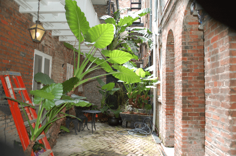 New Orleans House: 514 Madison Street