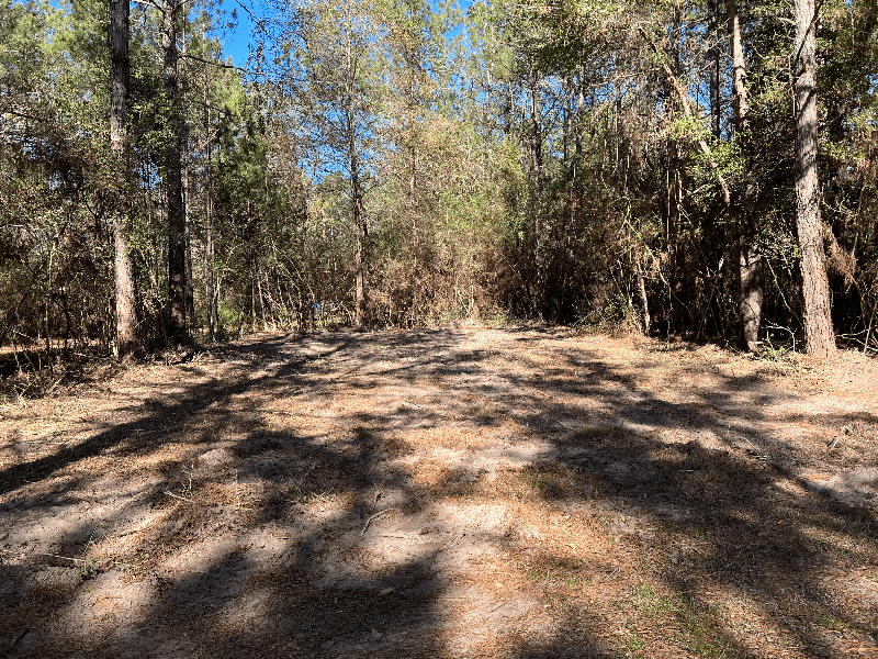 Zavalla Other: 310 Cotten Ln