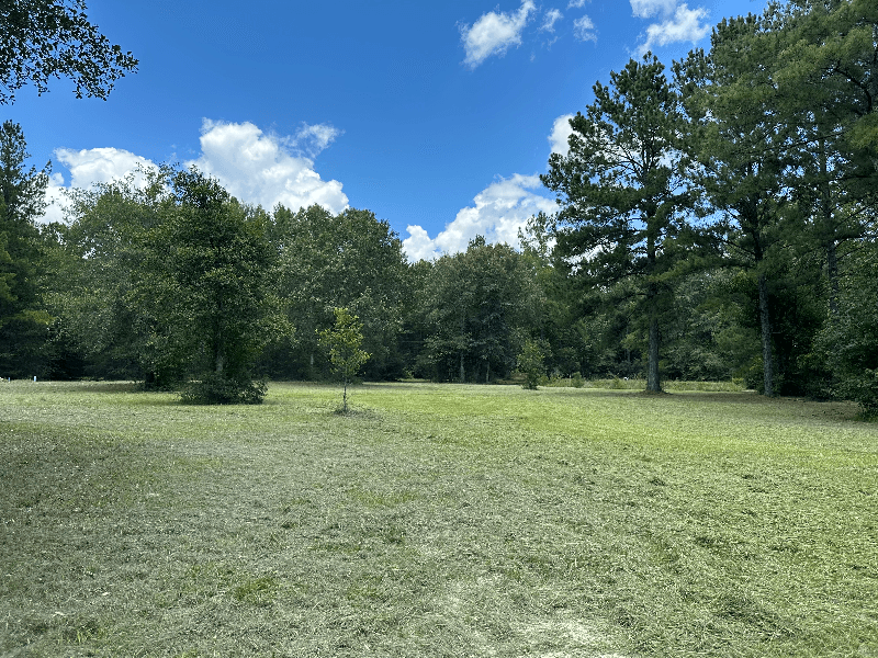 Zavalla Other: 310 Cotten Ln