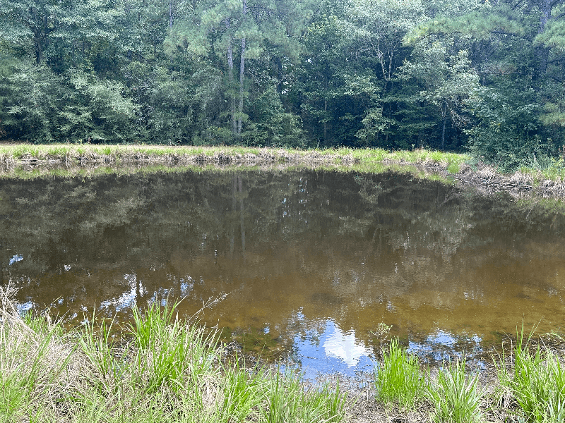Zavalla Other: 310 Cotten Ln